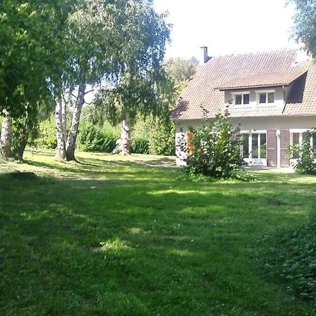 Villa - Coulommiers - Parcs Des Felins - Provins Beautheil-Saints Eksteriør bilde