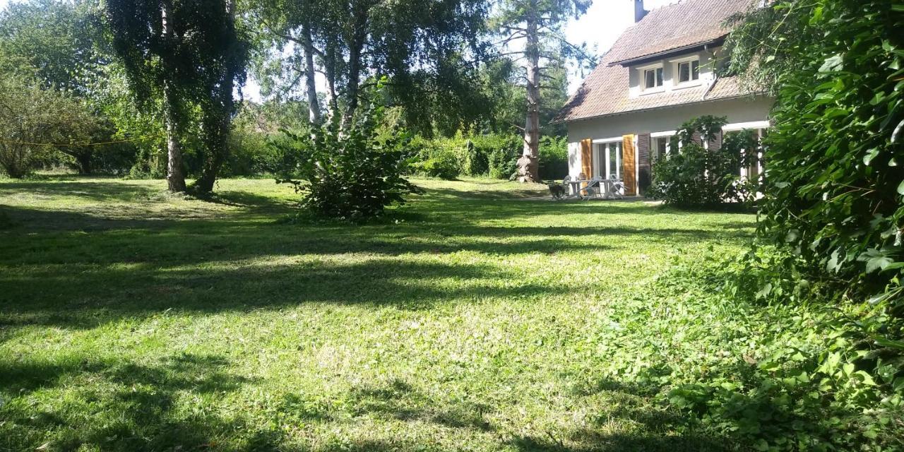 Villa - Coulommiers - Parcs Des Felins - Provins Beautheil-Saints Eksteriør bilde