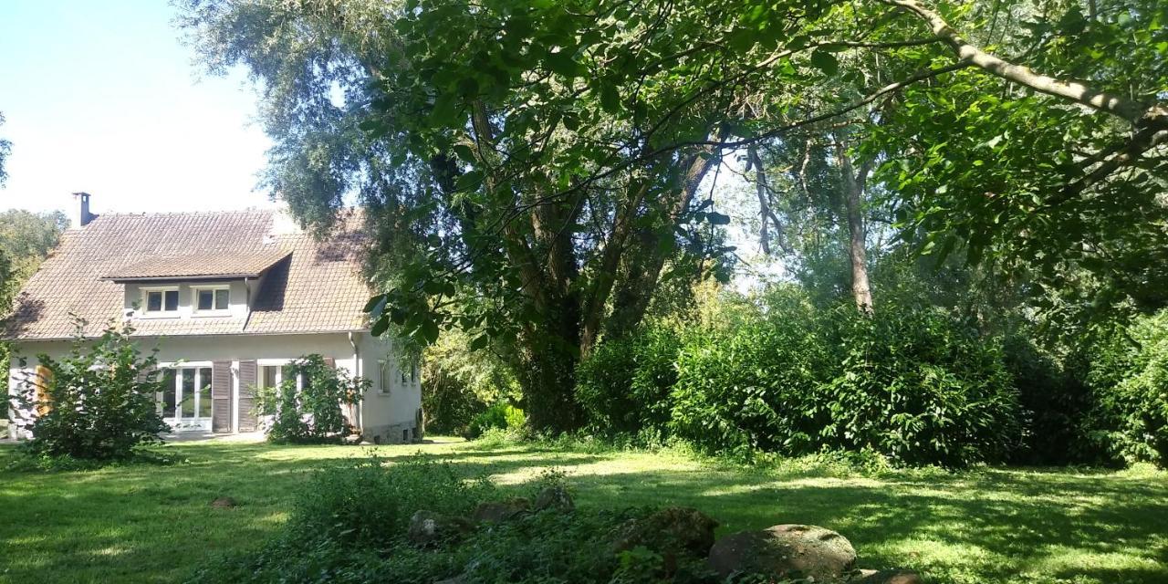 Villa - Coulommiers - Parcs Des Felins - Provins Beautheil-Saints Eksteriør bilde