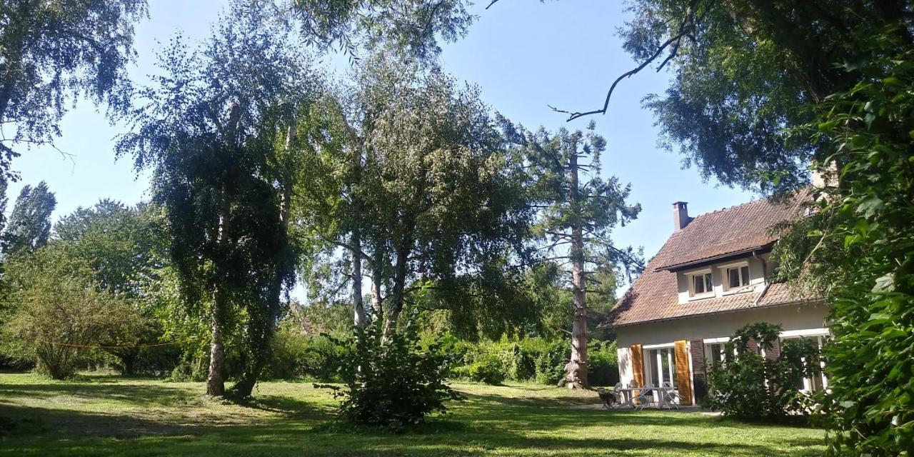 Villa - Coulommiers - Parcs Des Felins - Provins Beautheil-Saints Eksteriør bilde