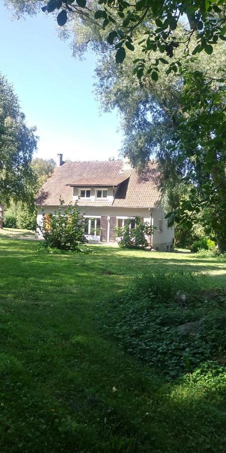 Villa - Coulommiers - Parcs Des Felins - Provins Beautheil-Saints Eksteriør bilde