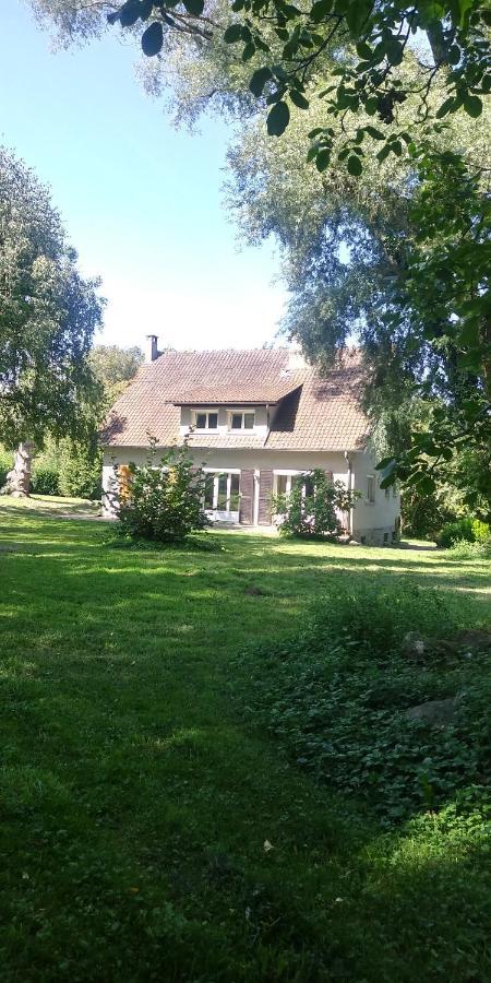 Villa - Coulommiers - Parcs Des Felins - Provins Beautheil-Saints Eksteriør bilde