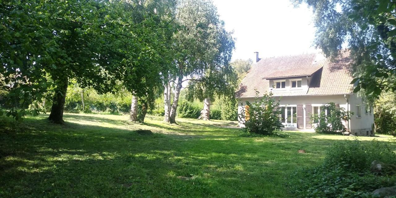 Villa - Coulommiers - Parcs Des Felins - Provins Beautheil-Saints Eksteriør bilde