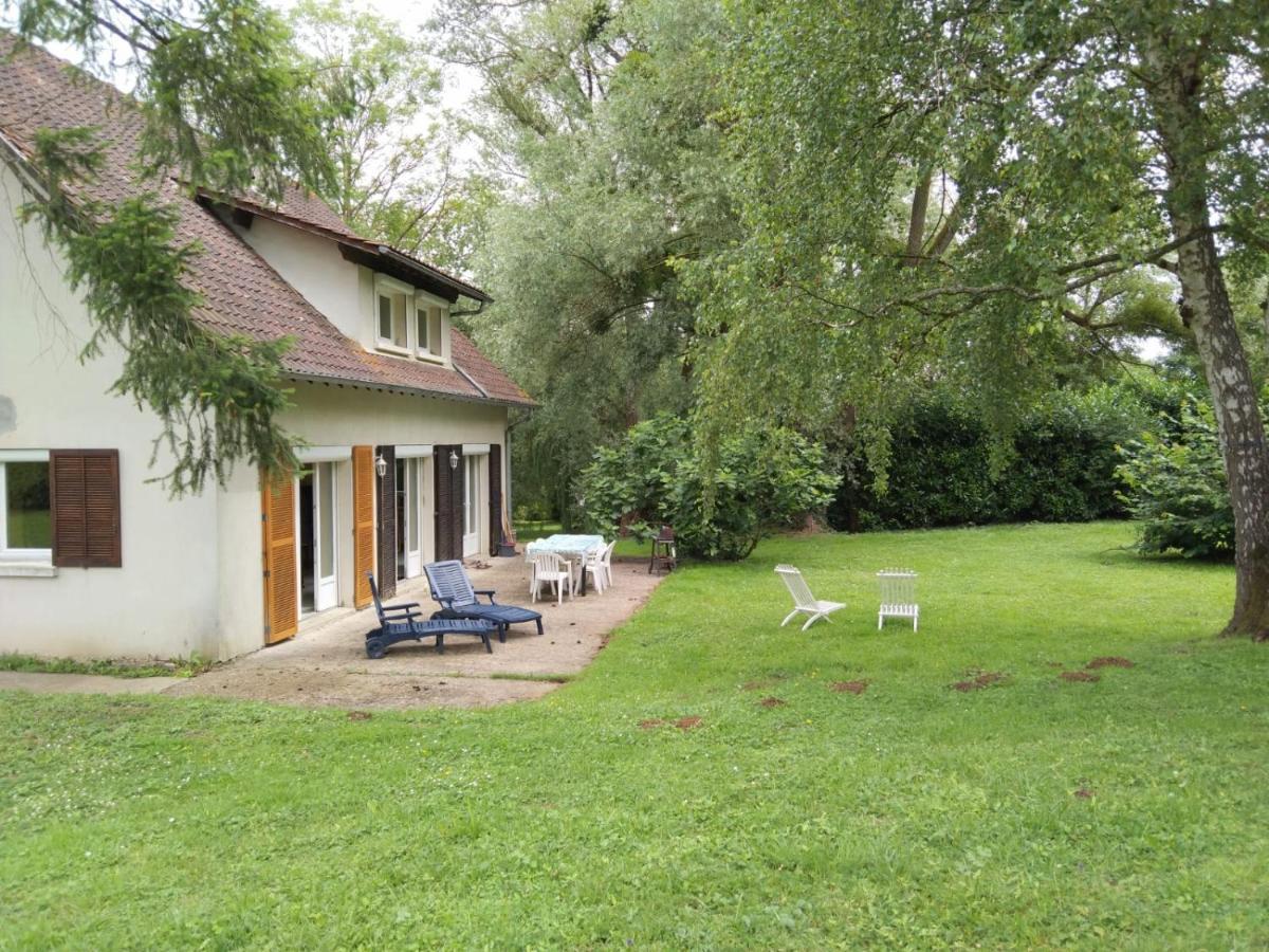 Villa - Coulommiers - Parcs Des Felins - Provins Beautheil-Saints Eksteriør bilde